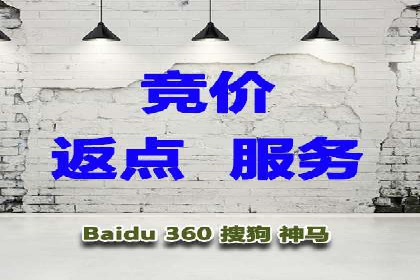 SEM广告投放案例：提升网站流量与转化