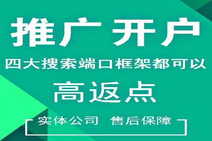 百度竞价公司运营策略：成功案例解析